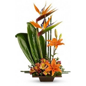 artistic-flowers-in-portland-or-and-lake-oswego-exotic-days-flower-arrangement.