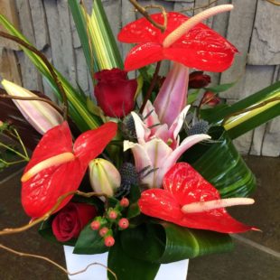 Designers Choice Tropical Mothers Day Flowers from Artistic Flowers in Portland OR